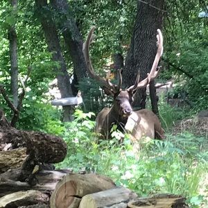 Meet your Posher, Duane